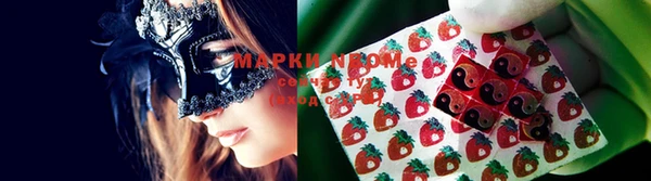 ПСИЛОЦИБИНОВЫЕ ГРИБЫ Абаза