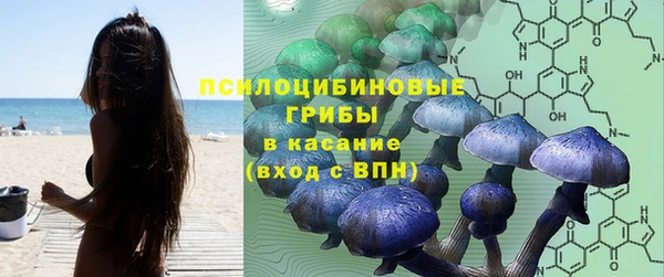 дурь Алзамай
