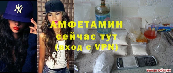 ПСИЛОЦИБИНОВЫЕ ГРИБЫ Абаза