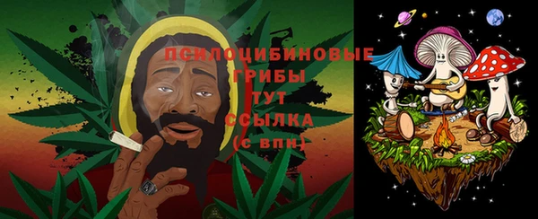 ПСИЛОЦИБИНОВЫЕ ГРИБЫ Абаза